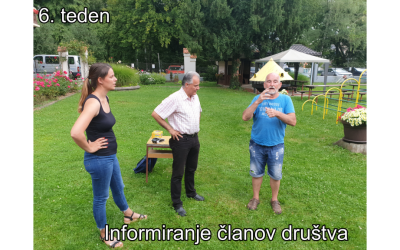 Obvestila in vabila: